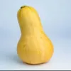 BUTTERNUT
