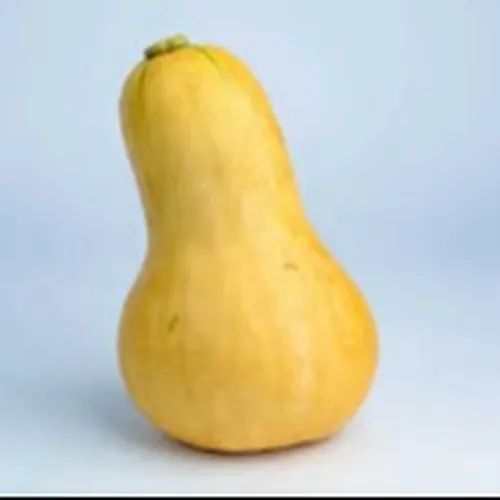 BUTTERNUT