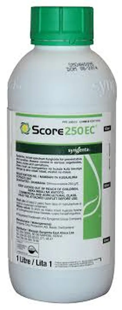 DIFENOCONAZOLE SCORE 1LIT