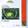 CABBAGE GLORIA STAR F1  50GM