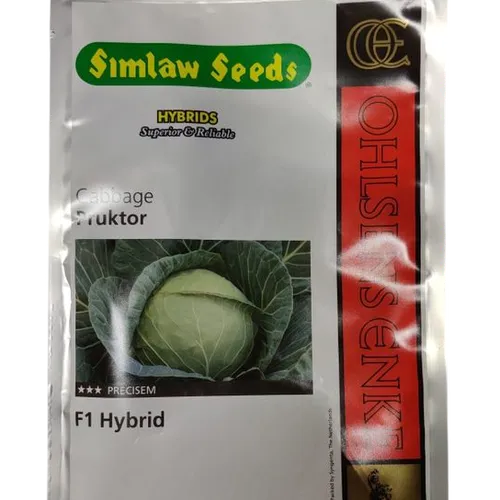 CABBAGE PRUKTOR F1 HYBRID 50GM