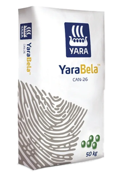 CAN 10KG CHAPA Y.BELA EXTRA N