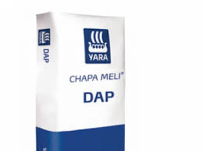 DAP 10KG CHAPA