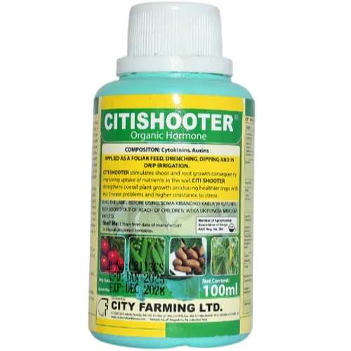 CITISHOOTER  100MLS