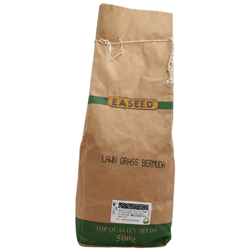 LAWN GRASS BERMUDA SEEDS 1KG