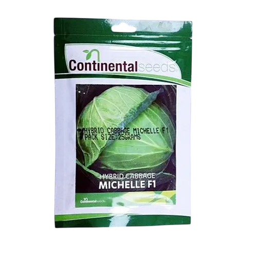 CABBAGE MICHELLE F1 25GM