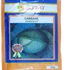 CABBAGE ZAWADI FI  25GM