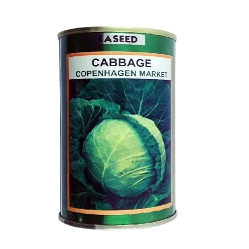 CABBAGE COPENHAGEN   50GM SIM