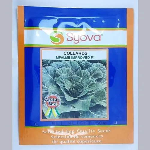 COLLARDS MFALME F1 IMPROVED  25GM EA
