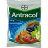 ANTRACOL  100GMS