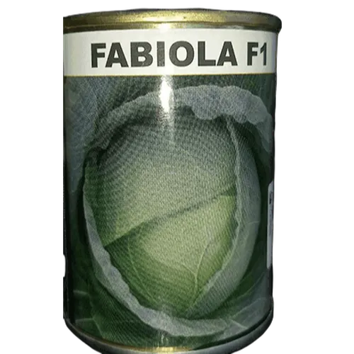 CABBAGE FABIOLA  F1 10GMS
