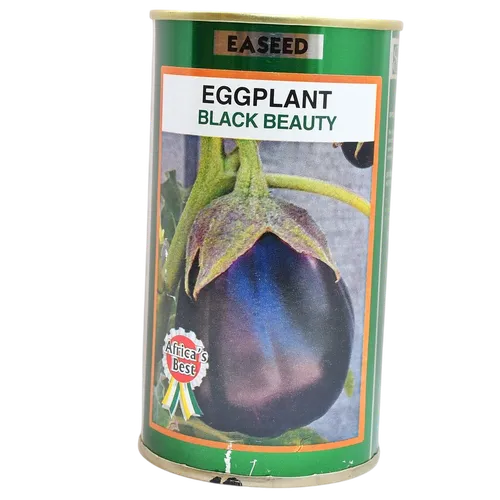 EGGPLANT B/BEAUTY   50GM EA