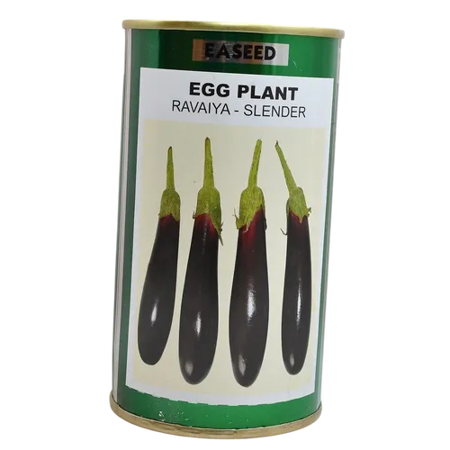 EGGPLANT RAVAYA SLENDER 50GMS