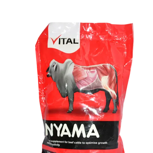 VITAL NYAMA 2KG